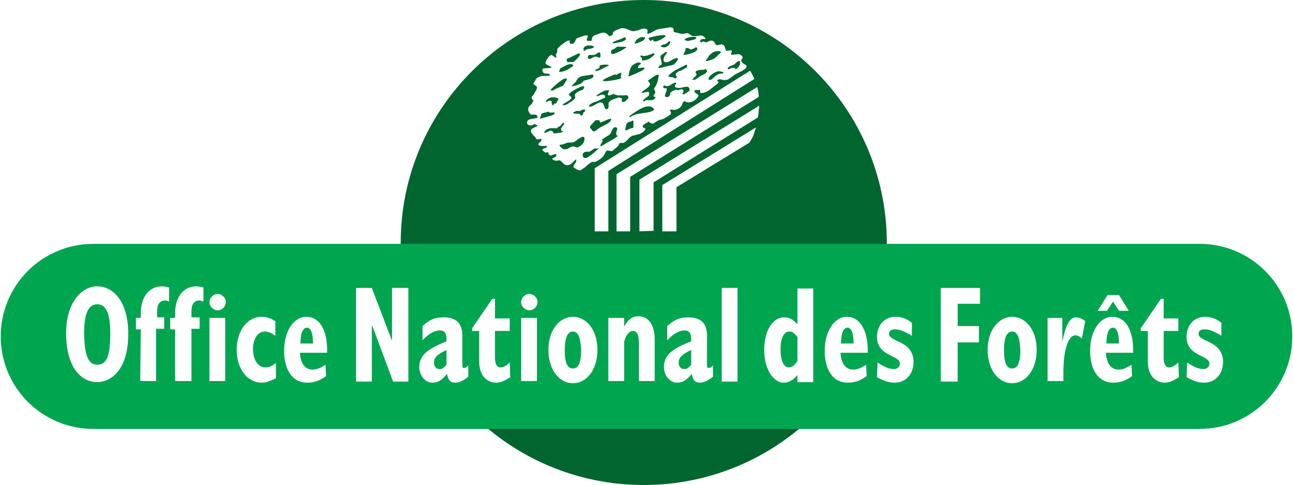 Office National des forêts logo